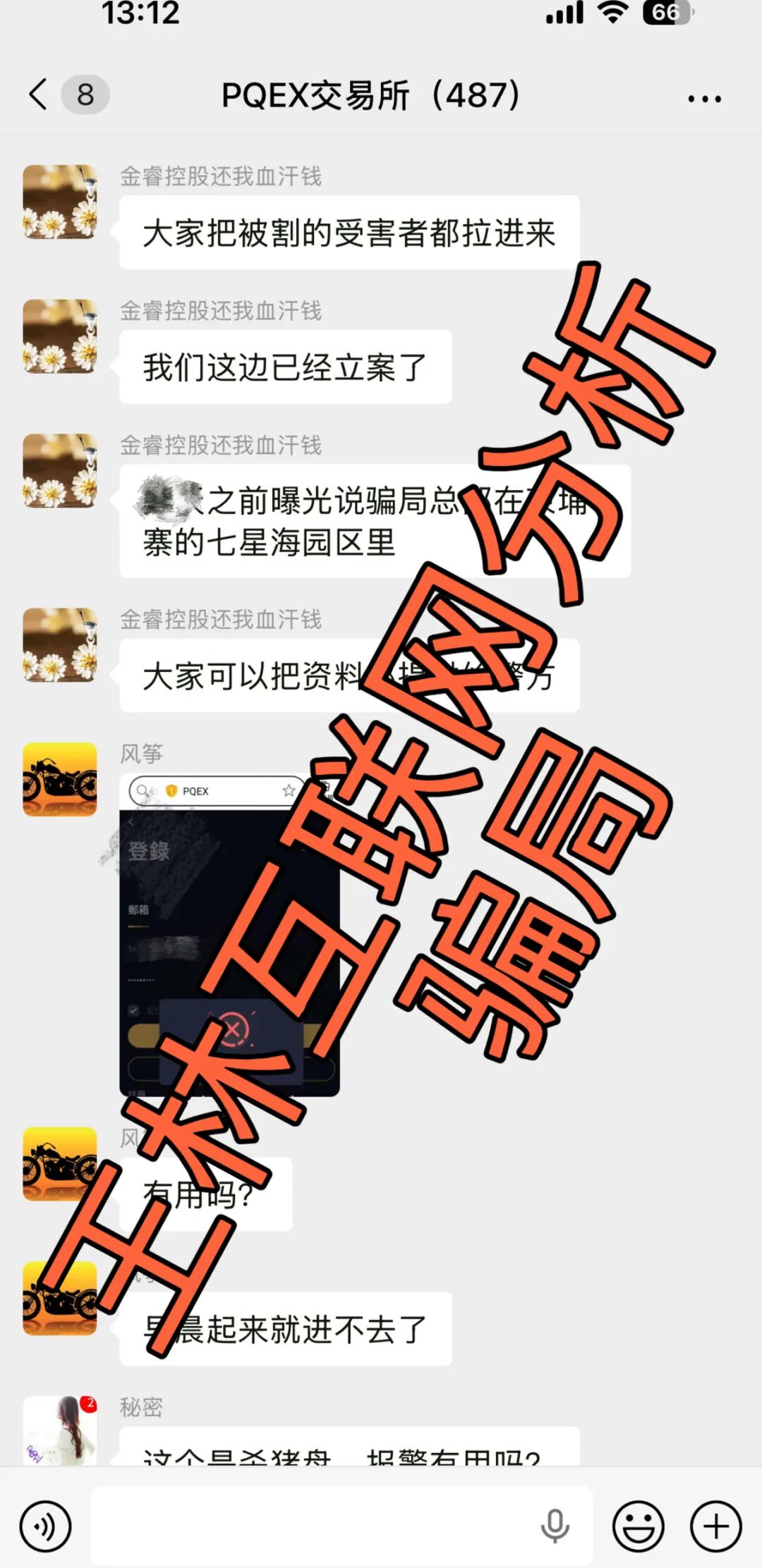 原文相关图片3